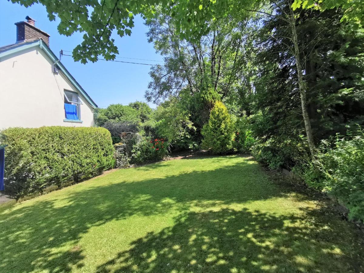 Wellstone Cottages - Jasmine Llanfyrnach Bagian luar foto