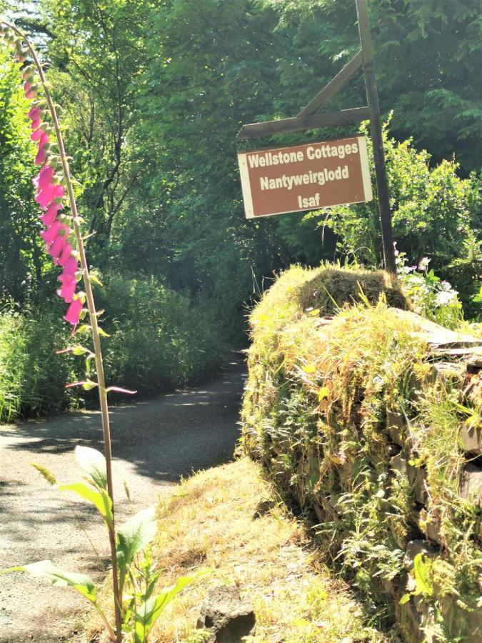 Wellstone Cottages - Jasmine Llanfyrnach Bagian luar foto