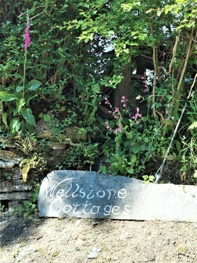 Wellstone Cottages - Jasmine Llanfyrnach Bagian luar foto